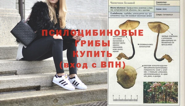 шишки Лихославль