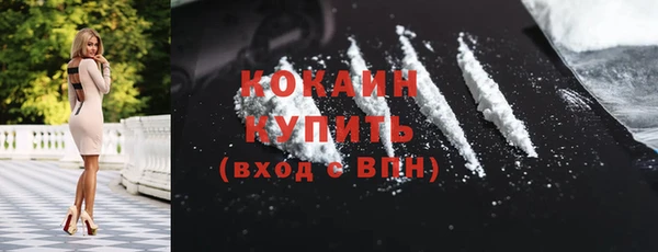 шишки Лихославль