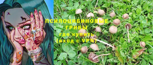 бутират Липки