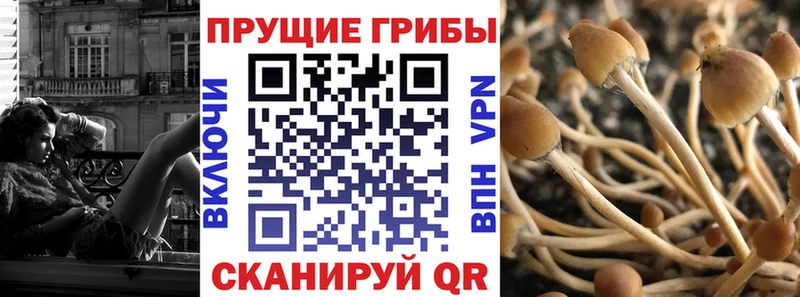 закладка  Торопец  Галлюциногенные грибы мухоморы 